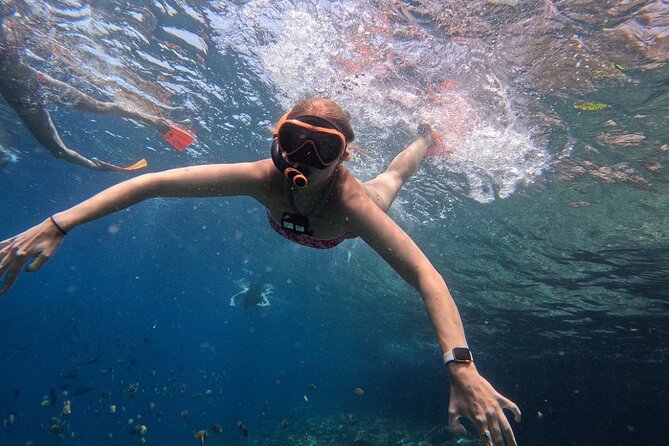Bali Blue Lagoon Snorkeling - Lunch and Transport All Inclusive - Who should book this east Bali day?