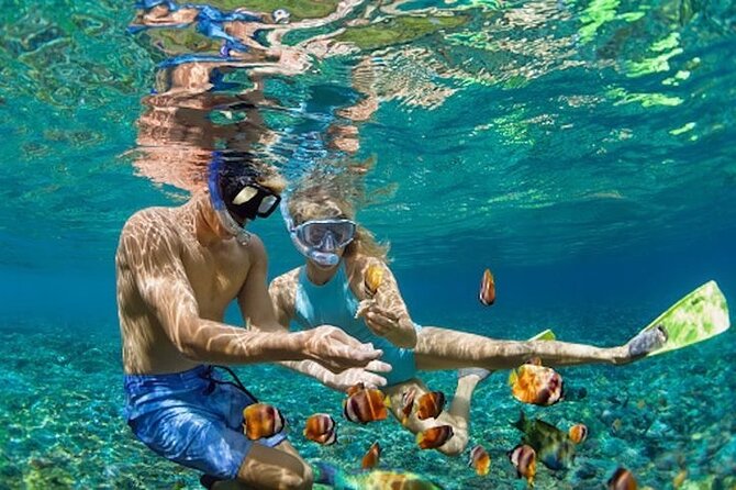Bali Blue Lagoon Snorkeling - Lunch and Transport All Inclusive - The snorkeling instructor is more important than the equipment