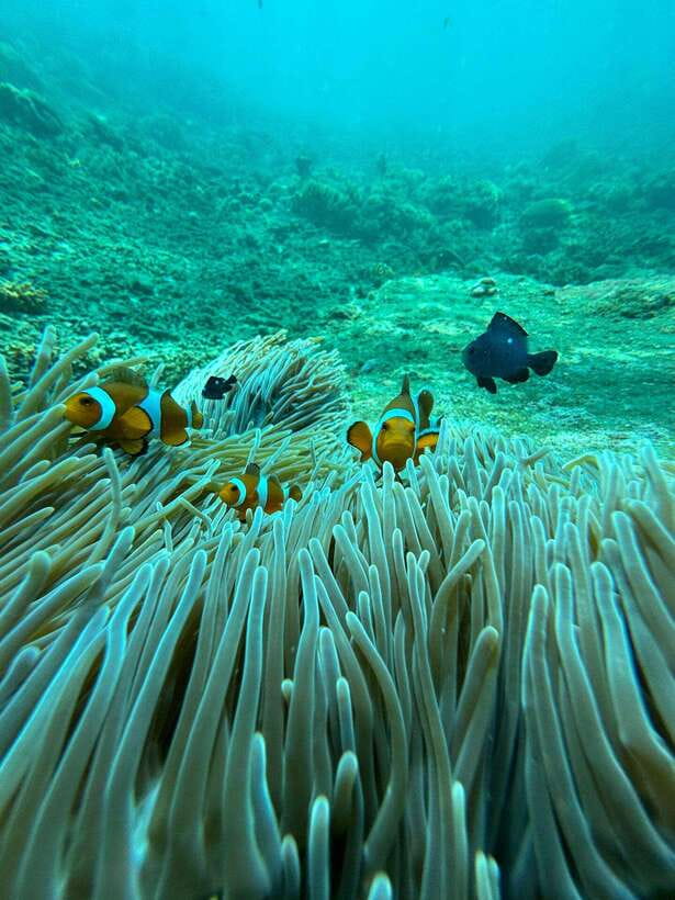 Bali: Blue Lagoon Snorkeling, Waterfall, and Plantation - The waterfall stop adds variety
