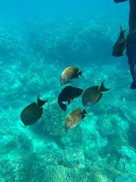 Bali: Blue Lagoon Snorkeling, Waterfall, and Plantation - What to pack for a wet, active day