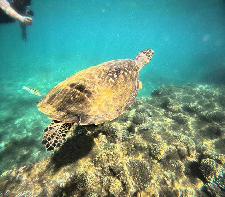 Bali: Blue Lagoon Snorkeling, Waterfall, and Plantation - Who should book this Bali outing?