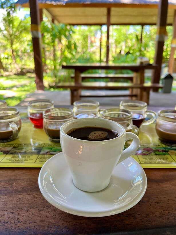 Bali: Blue Lagoon Snorkeling, Waterfall, and Plantation - What Blue Lagoon and Tanjung Jepun feel like