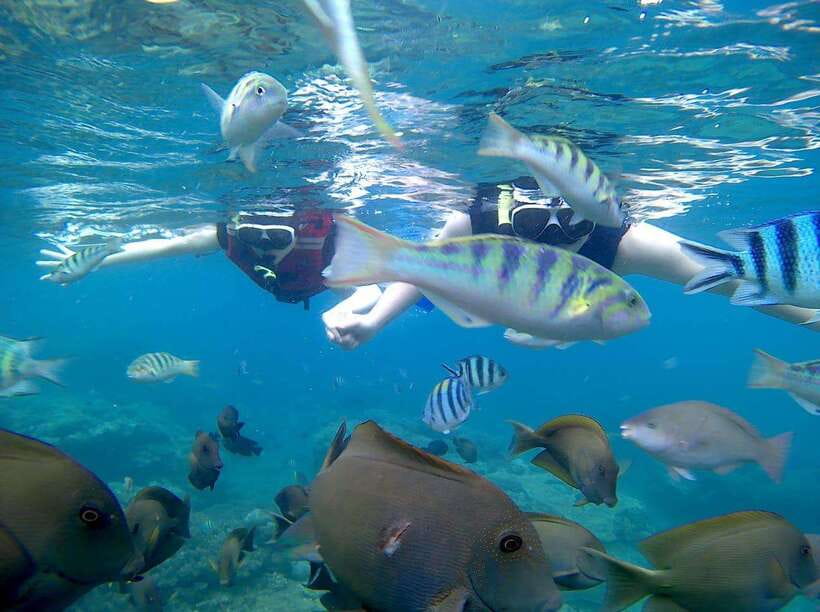 Bali: Blue Lagoon Snorkeling & Waterfall Tour - Moving on to Tanjung Jepun