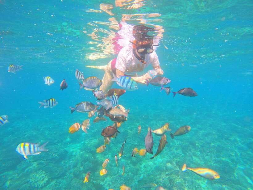 Bali: Blue Lagoon Snorkeling & Waterfall Tour - Lunch with an ocean view