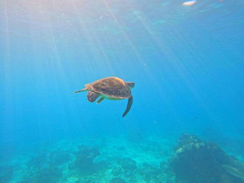 Bali: Blue Lagoon Snorkeling & Waterfall Tour - Walking into Tukad Cepung Waterfall