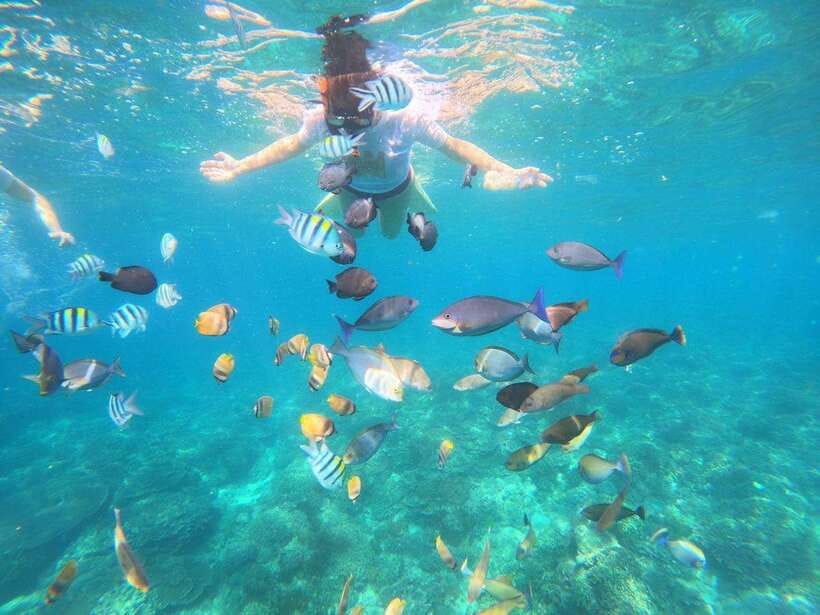 Bali: Blue Lagoon Snorkeling & Waterfall Tour - Who should book this experience