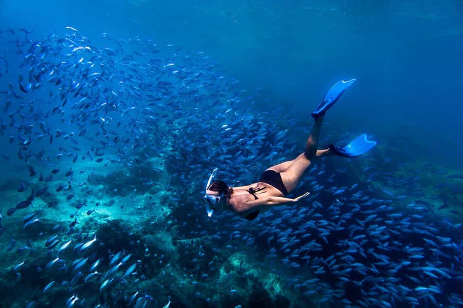 Bali: Blue Lagoon Snorkeling & Waterfall Tour with Lunch - Blue Lagoon: calm water and close-up fish