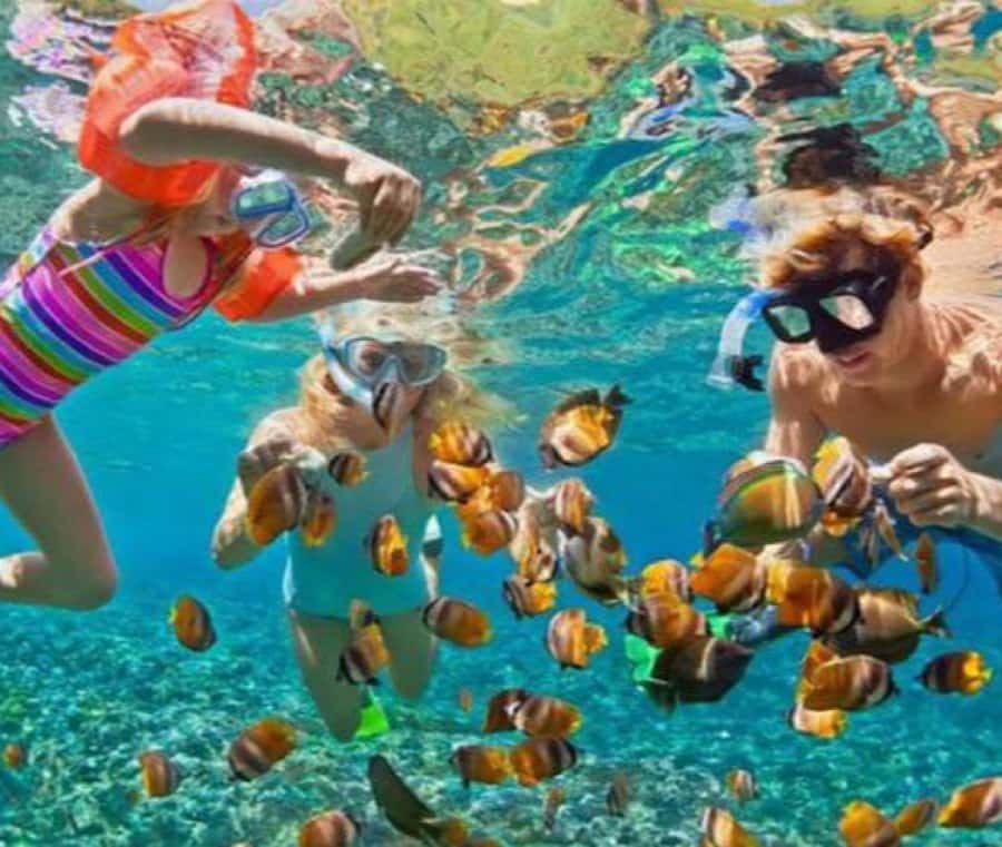 Bali: Blue Lagoon Snorkeling & Waterfall Tour with Lunch - Guides, equipment, and safety in the water