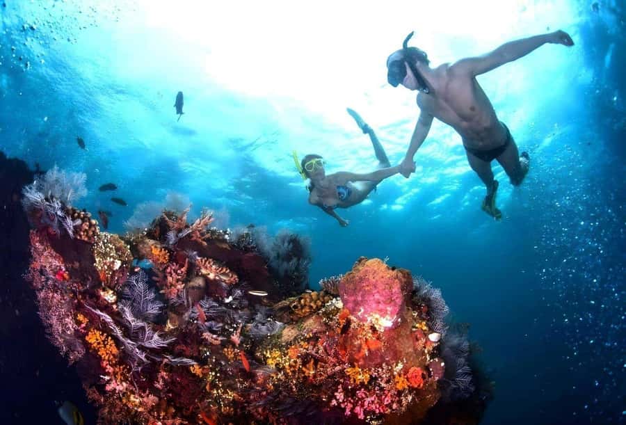 Bali: Blue Lagoon Snorkeling with Lunch & Transport - Two Bali snorkel sites in one day
