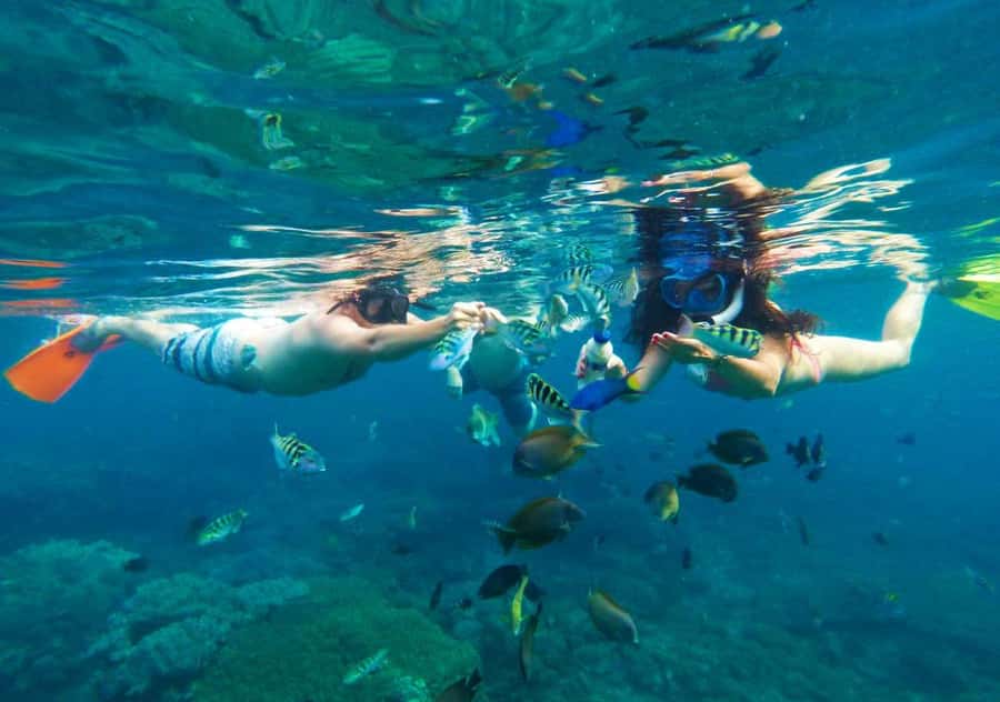 Bali: Blue Lagoon Snorkeling with Lunch & Transport - Tanjung Jepun and its unusual sea life