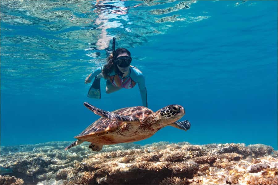 Bali: Blue Lagoon Snorkeling with Lunch & Transport - What Blue Lagoon feels like in practice