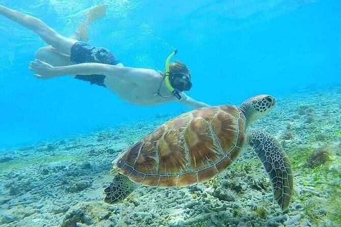 Bali Blue Lagoon Snorkeling with Private Transfer & Lunch - The optional Tibumana and Kanto Lampo waterfalls