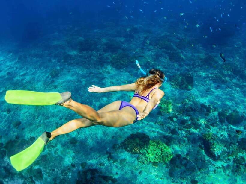 Bali: Blue Lagoon & Tanjung Jepun Snorkeling & lunch - Key points to know before booking