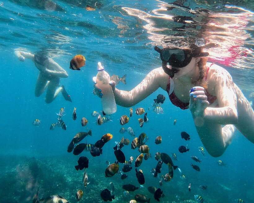 Bali: Blue Lagoon & Tanjung Jepun Snorkeling & lunch - Who will enjoy this outing most