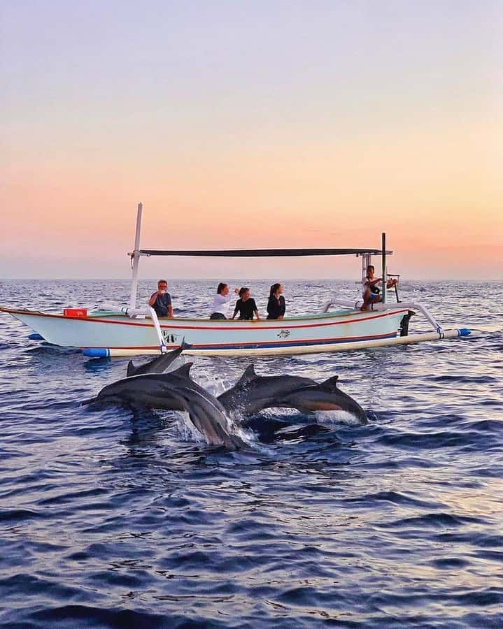 Bali: Dolphin Watching, Snorkeling, and Munduk Day Tour - Why this northern Bali day works so well