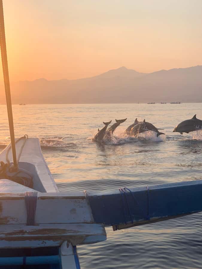 Bali: Dolphin Watching, Snorkeling, and Munduk Day Tour - Brahmavihara Arama and a quieter side of Bali