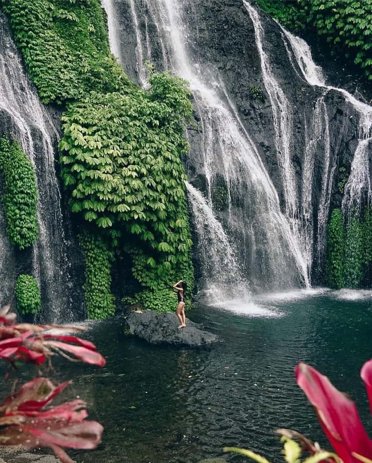 Bali: Dolphin Watching, Snorkeling, and Munduk Day Tour - What $85 includes, and what it does not