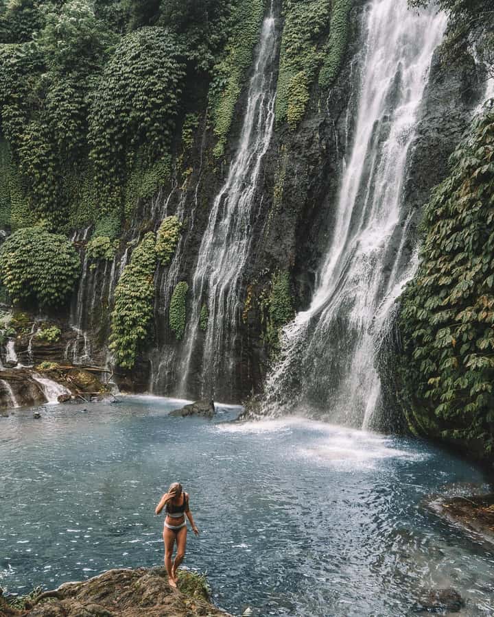 Bali: Dolphin Watching, Snorkeling, and Munduk Day Tour - Who should book this Bali tour