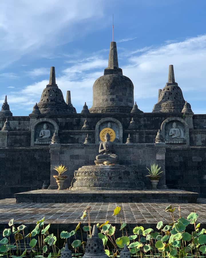 Bali: Dolphin Watching, Snorkeling, and Munduk Day Tour - Should you book it?
