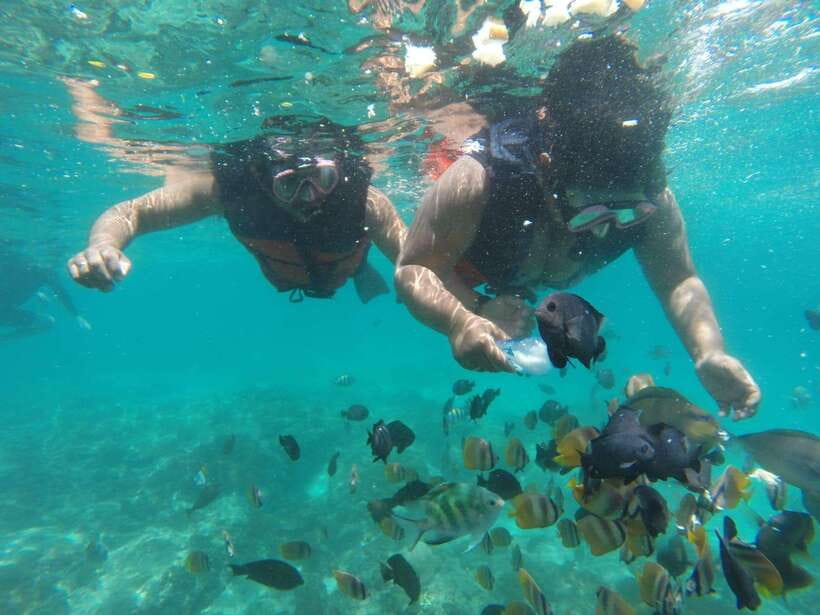 Bali : Fishing Trip & Blue lagoon Snorkeling : All Inclusive - The long drive from southern Bali
