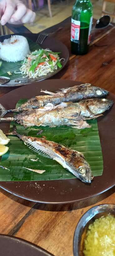 Bali : Fishing Trip & Blue lagoon Snorkeling : All Inclusive - What to bring and how to prepare