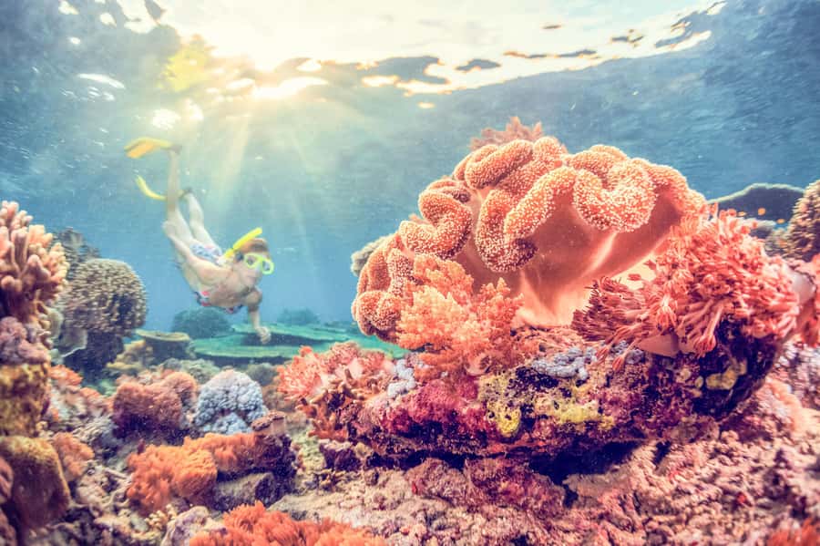 Bali: Full-Day Snorkeling Trip to Nusa Penida & Manta Point - Key points to know before you book