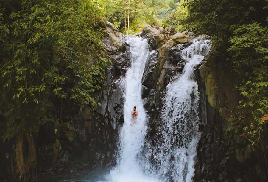 Bali/Lovina: Dolphin Snorkeling, Swimming & Waterfall Tour - Who should book this Lovina tour?