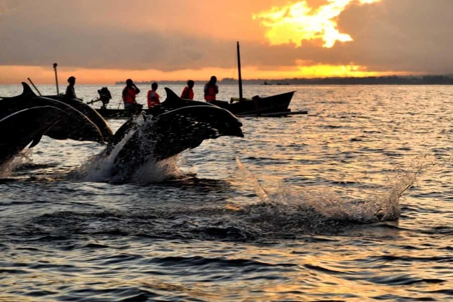 Bali/Lovina: Dolphin Snorkeling, Swimming & Waterfall Tour - Leaving Lovina before sunrise