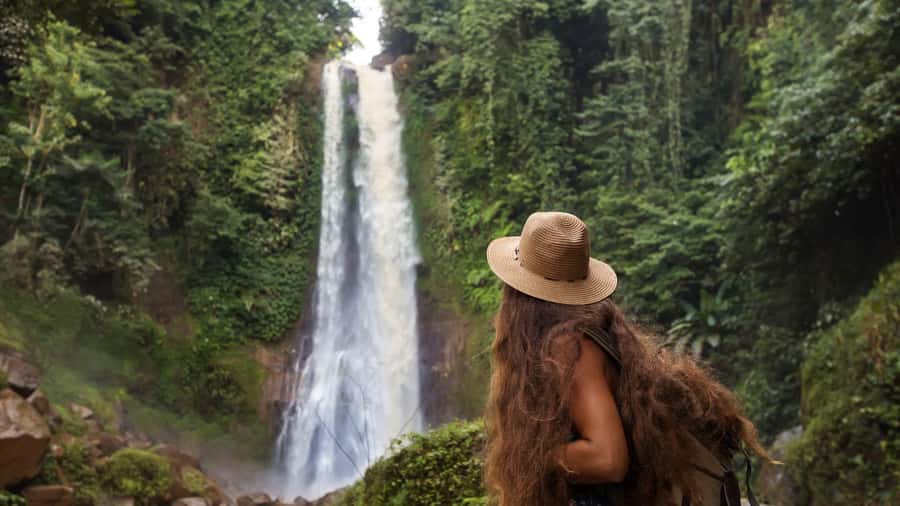 Bali/Lovina: Dolphin Snorkeling, Swimming & Waterfall Tour - What the dolphin plank activity is really like
