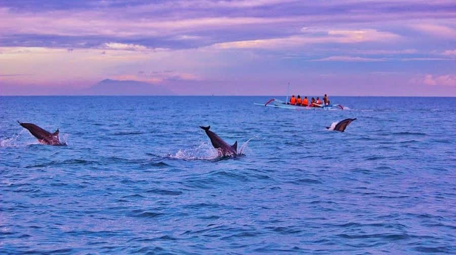 Bali/Lovina: Dolphin Snorkeling, Swimming & Waterfall Tour - Git Git Waterfall and the longer North Bali option