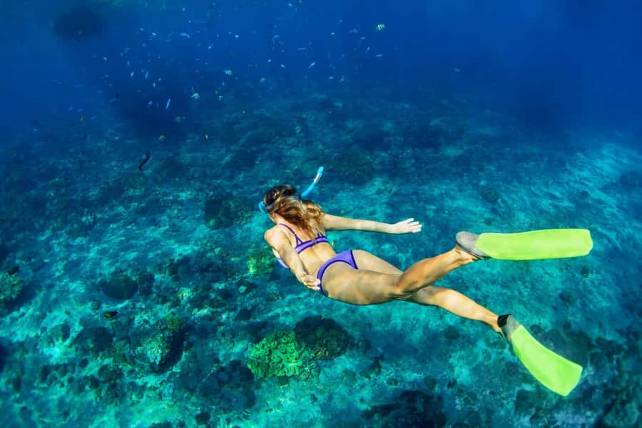 Bali/Lovina: Dolphin Snorkeling, Swimming & Waterfall Tour - Is $19 good value?
