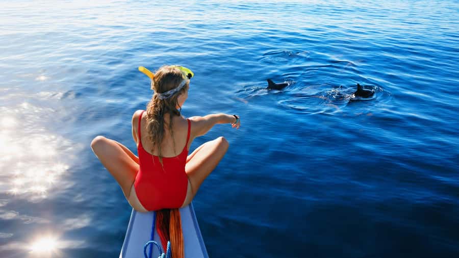 Bali/Lovina: Dolphin Snorkeling, Swimming & Waterfall Tour - Watching dolphins in a crowded sea