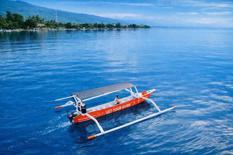 Bali/Lovina: Guided Dolphin Watching & Sunrise Boat Snorkel - Key points to know before booking