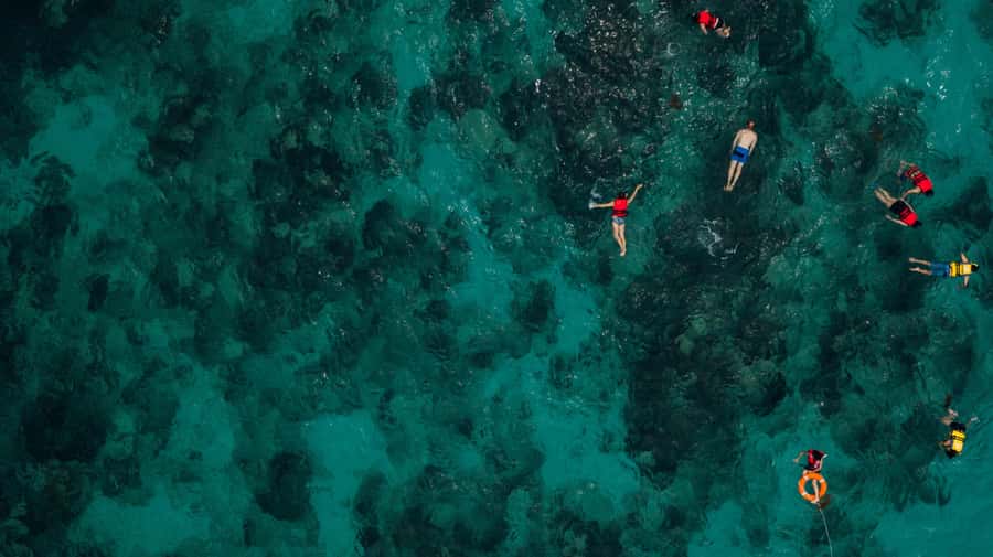 Bali/Nusa Dua: Snorkeling, Glass Boat Ride & Turtle Center - What this Nusa Dua combination tour is really like