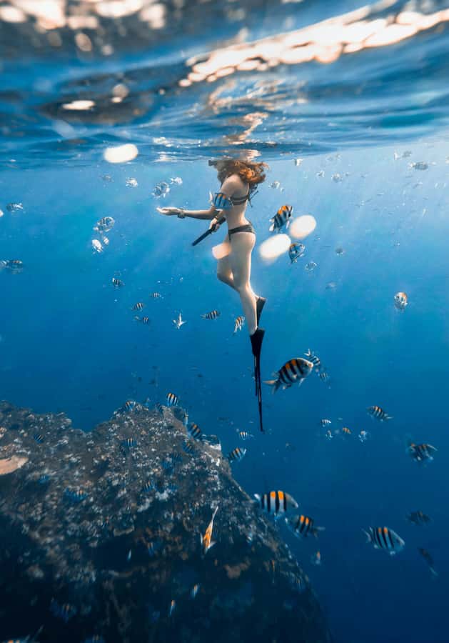 Bali/Nusa Dua: Snorkeling, Glass Boat Ride & Turtle Center - Is $46 a fair price?
