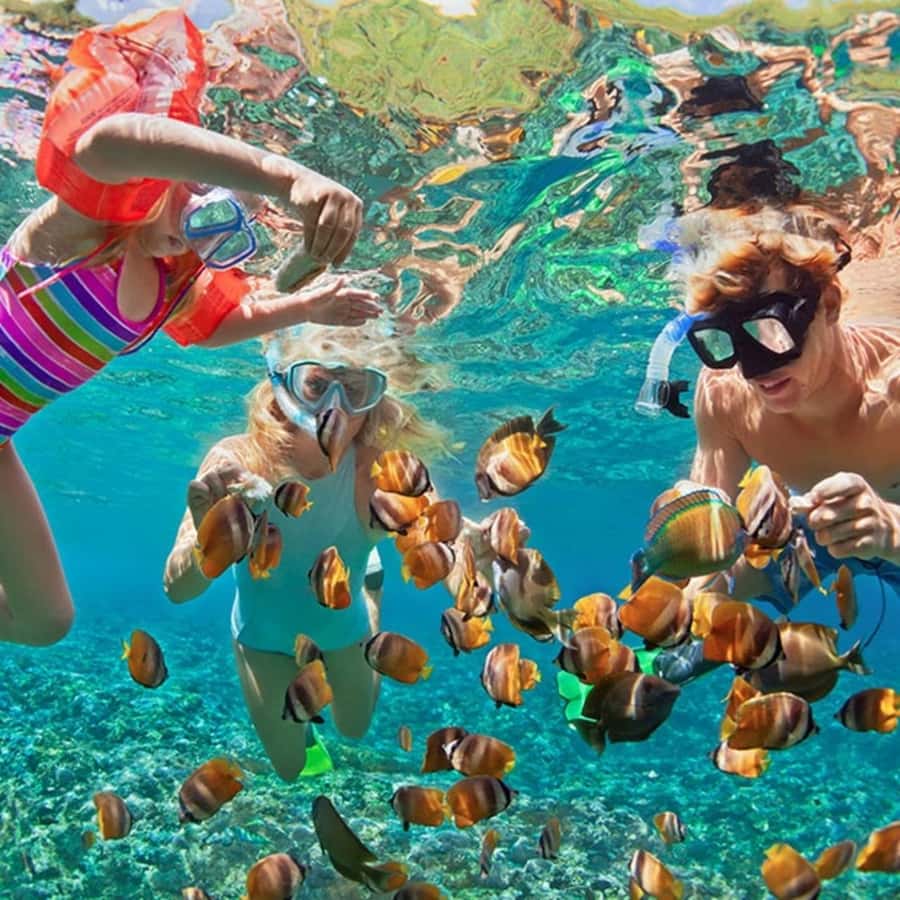Bali/Nusa Dua: Snorkeling, Glass Boat Ride & Turtle Center - What to pack and how to prepare