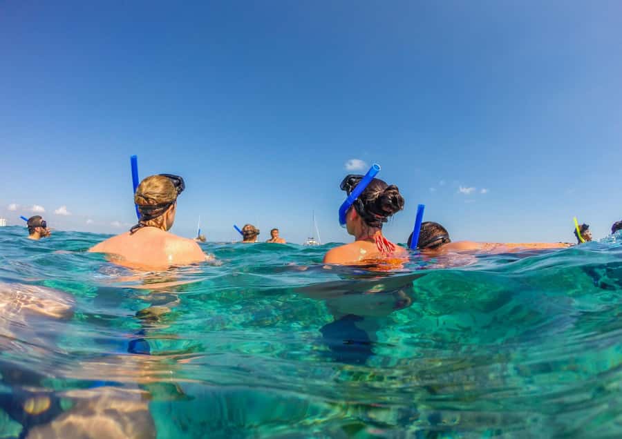 Bali/Nusa Dua: Snorkeling, Glass Boat Ride & Turtle Center - Starting at PT Bayu Suta Watersport