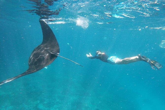 Bali Nusa Penida and Private Snorkeling (Manta Bay, Gamat, Wall) - Why this Nusa Penida day trip works