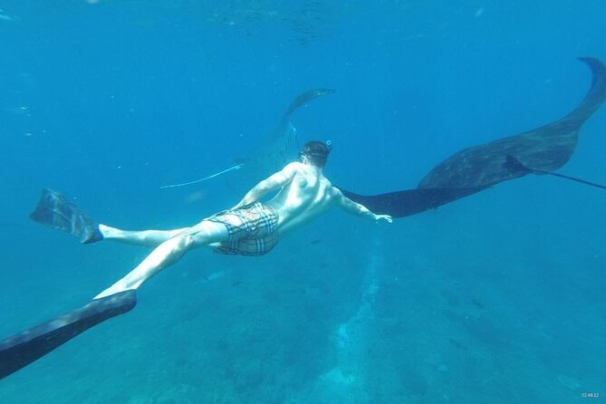 Bali Nusa Penida and Private Snorkeling (Manta Bay, Gamat, Wall) - Leaving Bali on the early fast boat