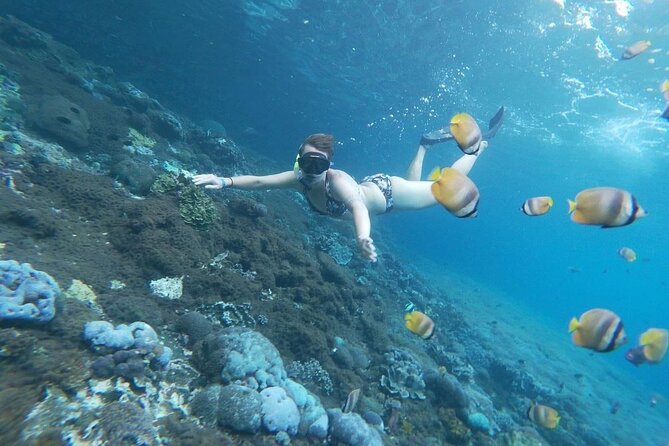 Bali Nusa Penida and Private Snorkeling (Manta Bay, Gamat, Wall) - Manta Bay: exciting, but never guaranteed
