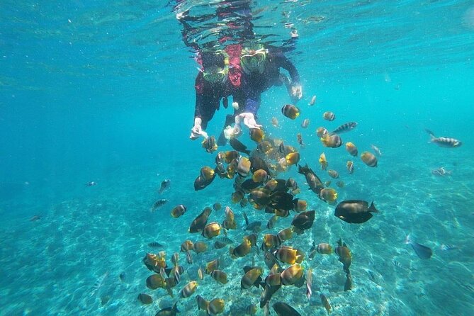 Bali Nusa Penida and Private Snorkeling (Manta Bay, Gamat, Wall) - Wall Bay Point and the naming detail to clarify
