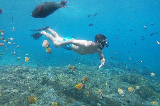 Bali Nusa Penida and Private Snorkeling (Manta Bay, Gamat, Wall) - Private service, with several handoffs