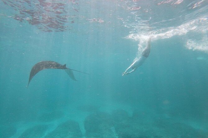 Bali Nusa Penida and Private Snorkeling (Manta Bay, Gamat, Wall) - Kelingking Beach and the famous cliff profile