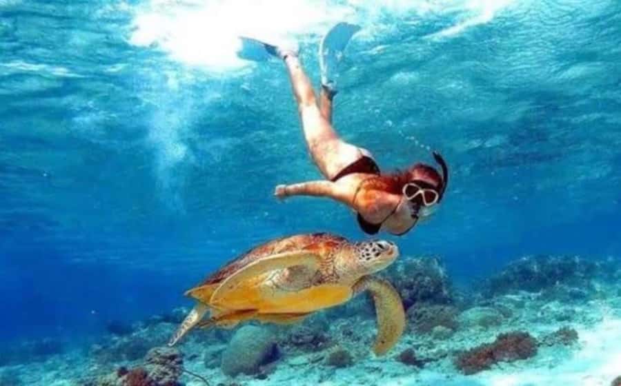 Bali: Nusa Penida Full-Day Trip with Snorkeling - From south Bali to Nusa Penida by speedboat