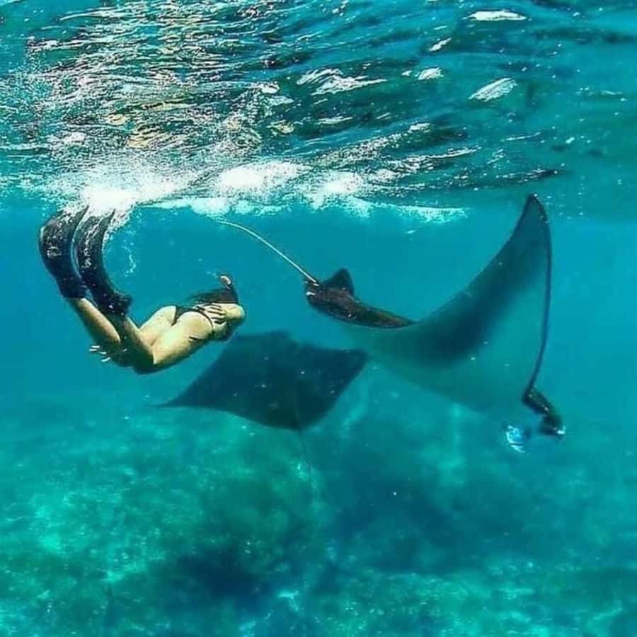 Bali: Nusa Penida Full-Day Trip with Snorkeling - Lunch is a pause, not part of the price