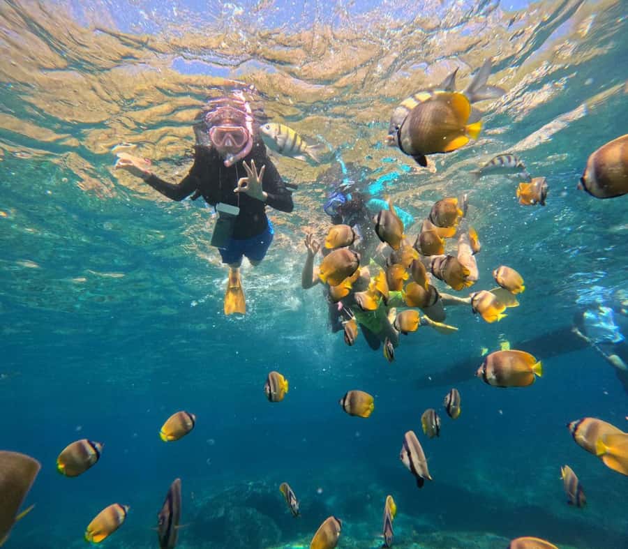Bali: Nusa Penida Full-Day Trip with Snorkeling - How much value do you get for $49?