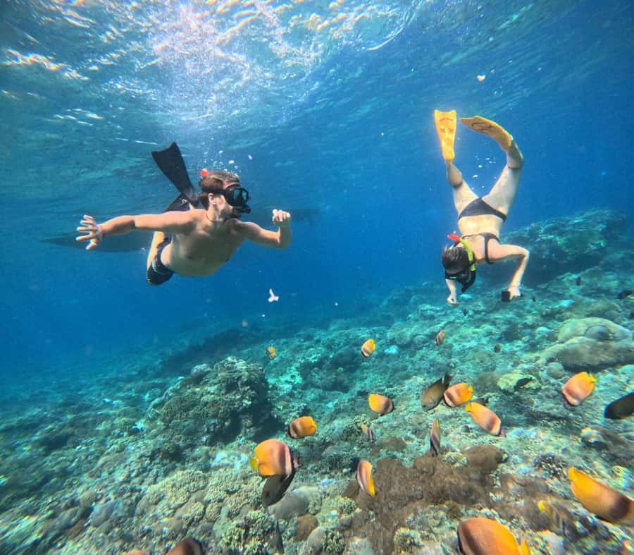 Bali: Nusa Penida Full-Day Trip with Snorkeling - Booking tips that can save trouble