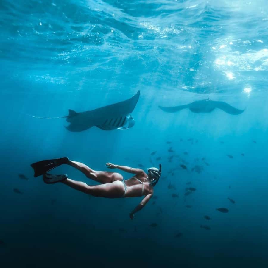 Bali: Nusa Penida Full-Day Trip with Snorkeling - Three snorkeling sites around Nusa Penida