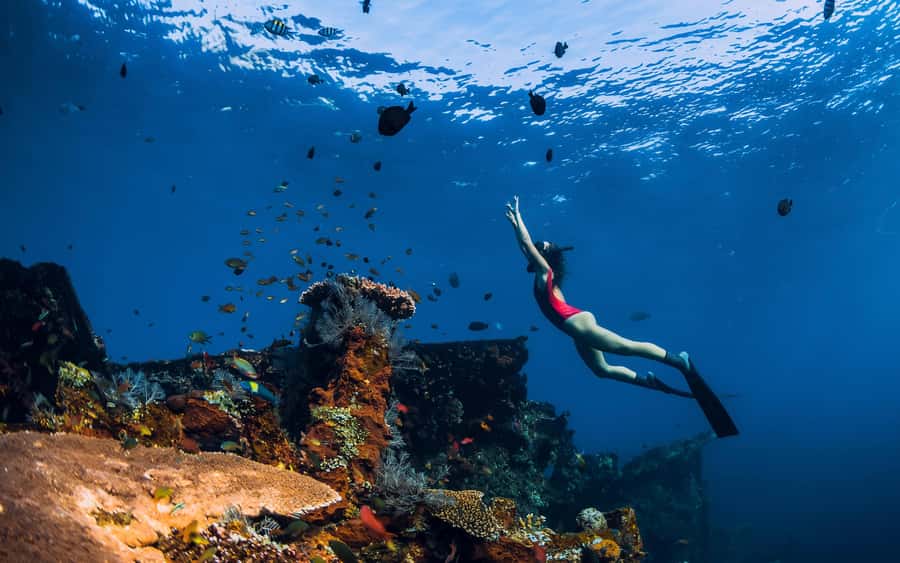 Bali/Nusa Penida: Manta Point Snorkel Boat & West Coast Tour - Key points to know before booking