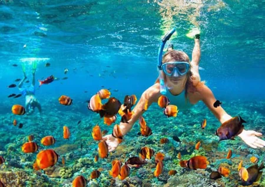 Bali/Nusa Penida: Manta Point Snorkel Boat & West Coast Tour - The Nusa Penida roads are part of the price